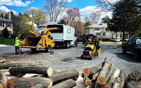 Best Seasonal Cleanup (Spring/Fall)  in Wainaku, HI